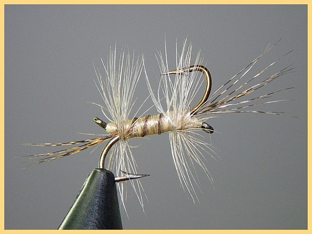 Avozetto Webzine Pêche Mouche humour