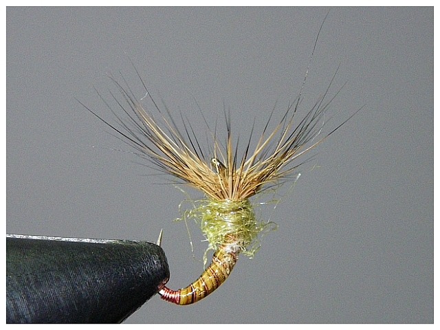 Avozetto Webzine Pêche Mouche humour
