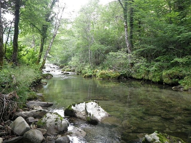 Reportage Cabranka Croatie Avozetto Webzine Pêche Mouche