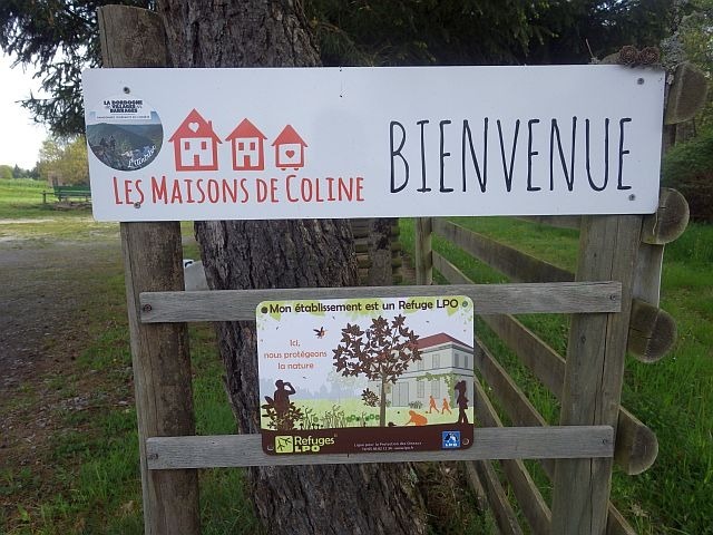 Les Maisons de Coline hébergement guidage individuel Avozetto Webzine Pêche Mouche
