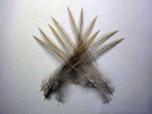 Hackles gris rouillé