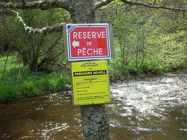 reportage pêche mouche sur l'Ance du Sud département de la Haute-Loire