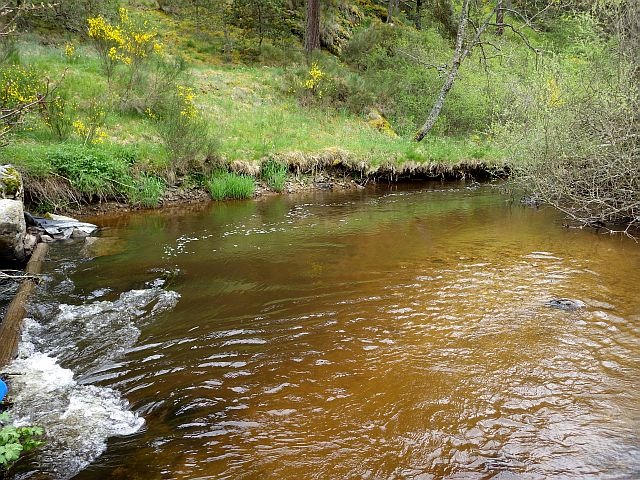 reportage pêche mouche sur l'Ance du Sud département de la Haute-Loire