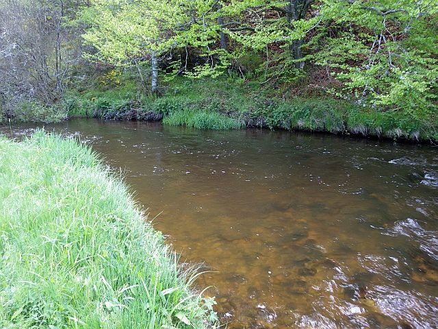 reportage pêche mouche sur l'Ance du Sud département de la Haute-Loire