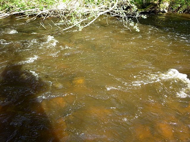 reportage pêche mouche sur l'Ance du Sud département de la Haute-Loire