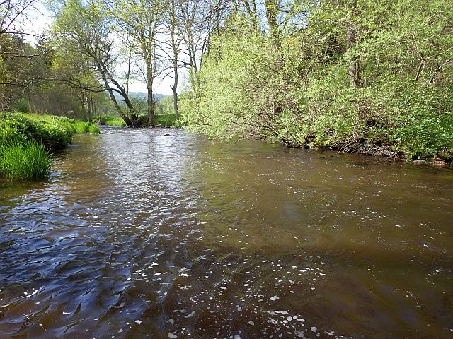 reportage pêche mouche sur l'Ance du Sud département de la Haute-Loire