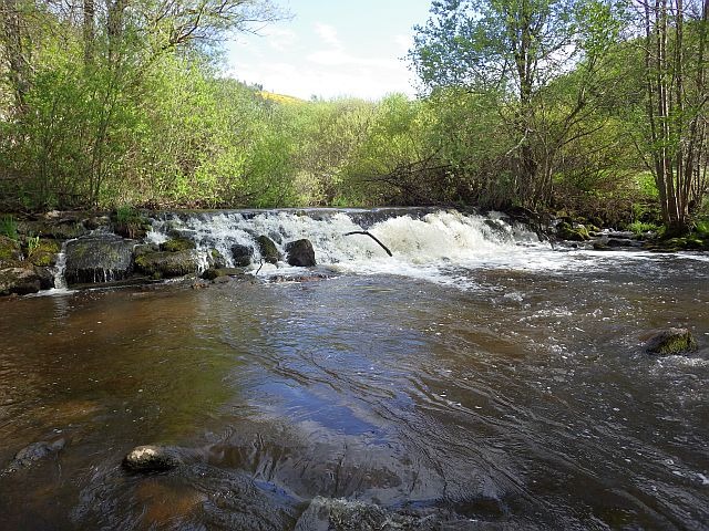 reportage pêche mouche sur l'Ance du Sud département de la Haute-Loire