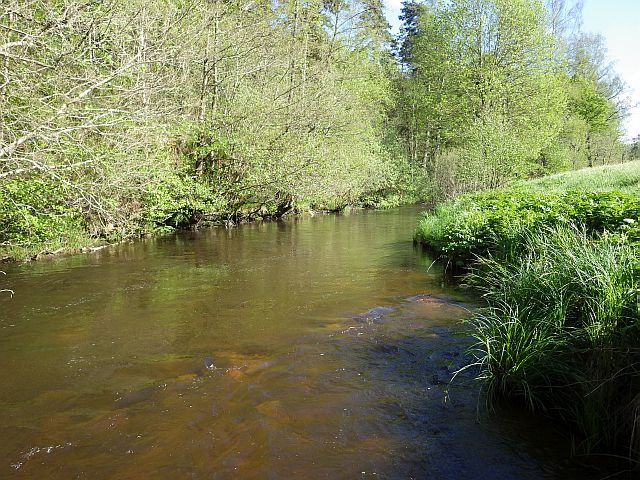 reportage pêche mouche sur l'Ance du Sud département de la Haute-Loire