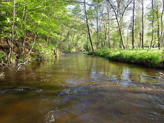 reportage pêche mouche sur l'Ance du Sud département de la Haute-Loire