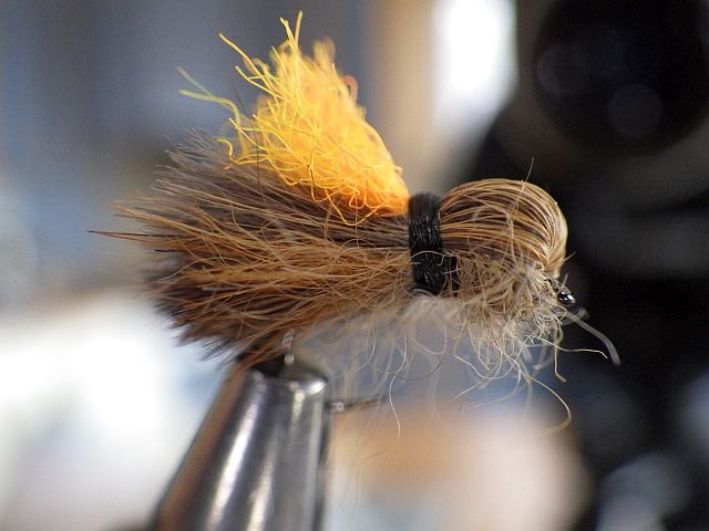 Avozetto webzine pêche mouche montage sedge renard