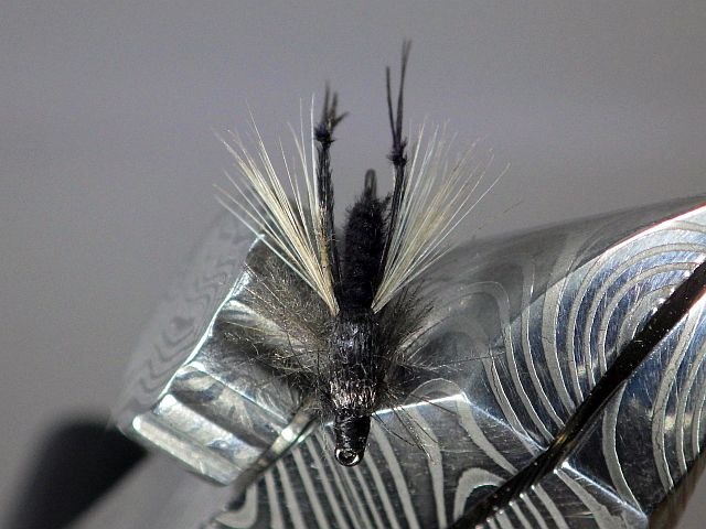 Vidéo et pas à pas montage bibio marci élastique Avozetto Webzine Pêche Mouche