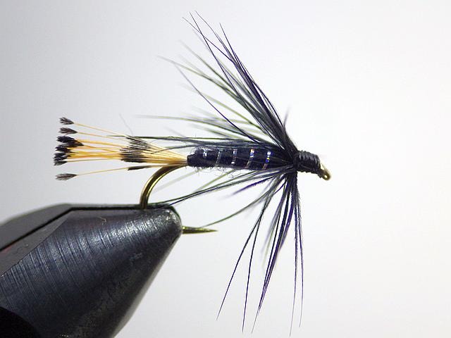 Avozetto webzine pêche mouche montage mouche noyée