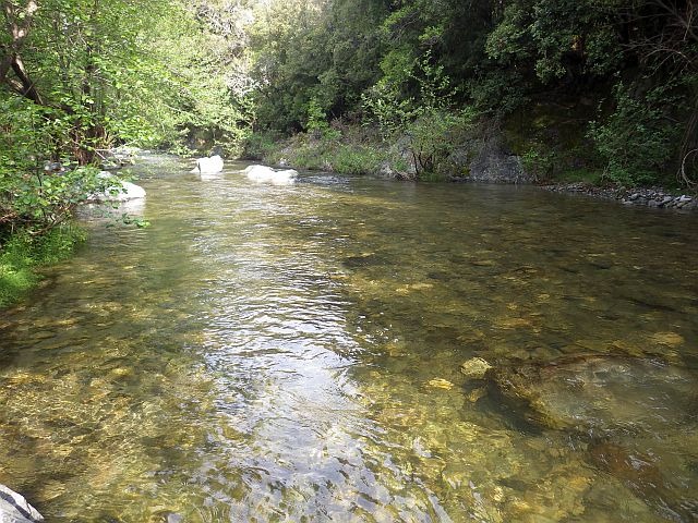 reportage sur la Bravona, dépt de Haute-Corse