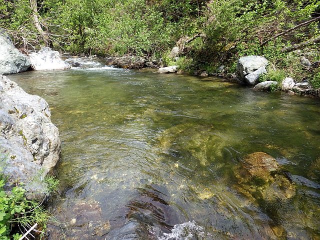 reportage sur la Bravona, dépt de Haute-Corse