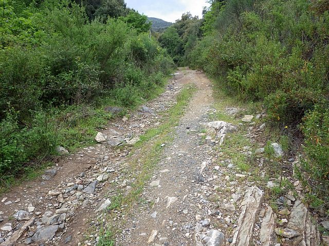 reportage sur la Bravona, dépt de Haute-Corse