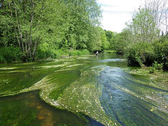 reportage sur l'Elorn, dépt du Finistère