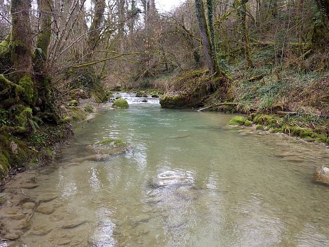 Reportage Flon Savoie Avozetto, Webzine Pêche Mouche