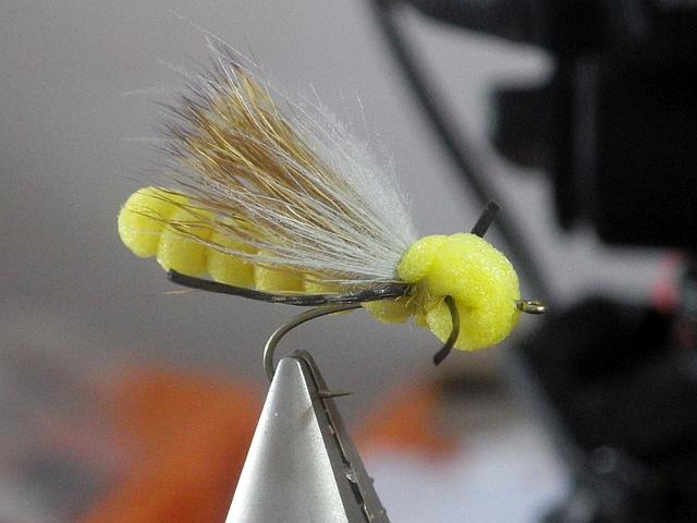 Avozetto webzine pêche mouche montage gros plécoptère