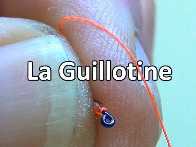 Avozetto webzine pêche mouche nœud guillotine