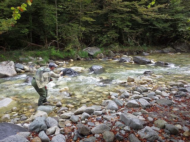 Reportage sur le Gave d'Ossau dépt des Pyrénées Atlantiques