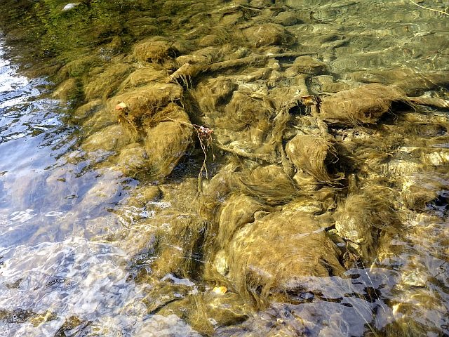 Reportage sur le Gave d'Ossau dépt des Pyrénées Atlantiques