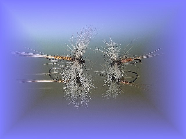 Avozetto webzine pêche mouche montage spent