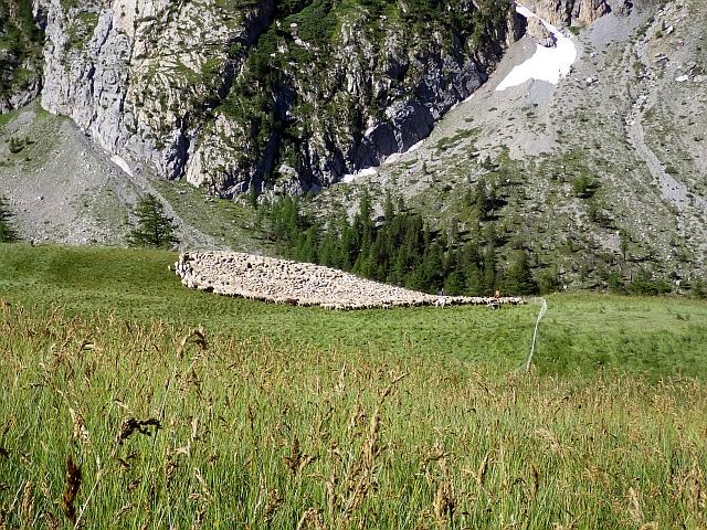reportage peche mouche lac d'altitude Alpes de Haute Provence 04 lac Premier