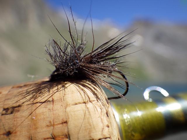 reportage peche mouche lac d'altitude Alpes de Haute Provence 04 lac Premier