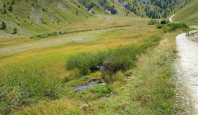 Avozetto reportages coins de pêche lacs de montagne le lauzanier