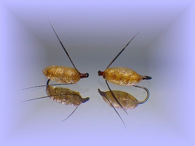 Avozetto webzine pêche mouche montage exuvie trichoptère