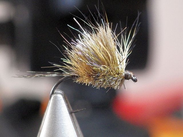 Avozetto webzine pêche mouche montage oreille de chevreuil