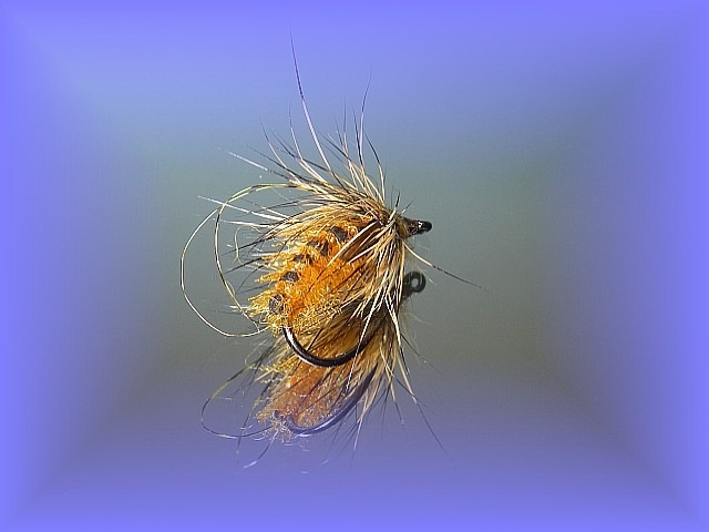Avozetto webzine pêche mouche montage émergente