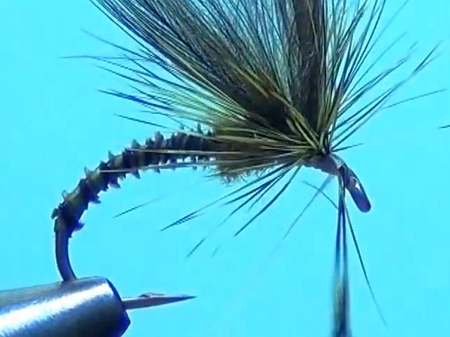 Avozetto webzine pêche mouche montage mouche à ailes