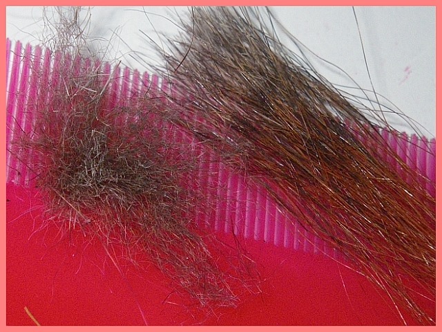 Avozetto webzine pêche mouche outil peigne à poux