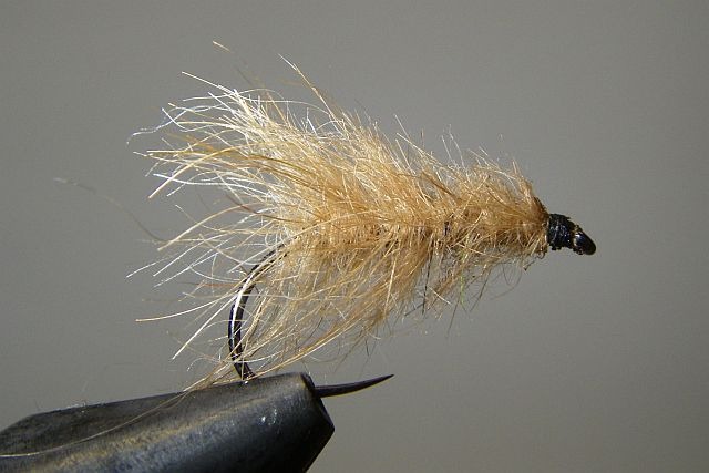 Segde_poils_tailles_Joe_Cocker