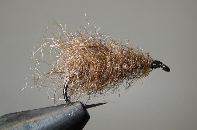 Segde_poils_tailles_Terranova