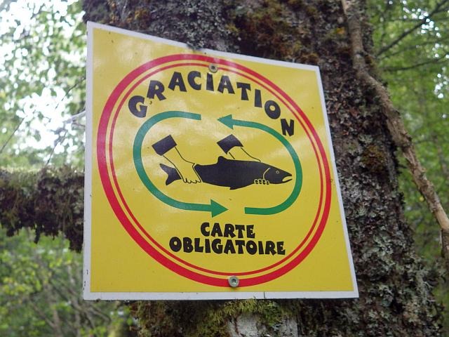 reportage pêche mouche france corrèze petite vézère