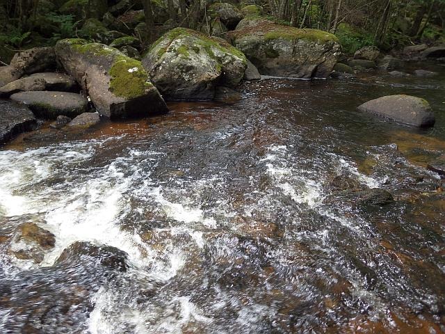 reportage pêche mouche france corrèze petite vézère