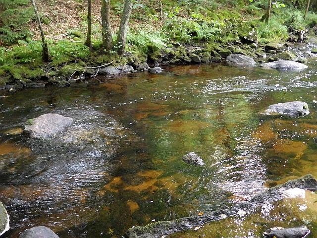reportage pêche mouche france corrèze petite vézère