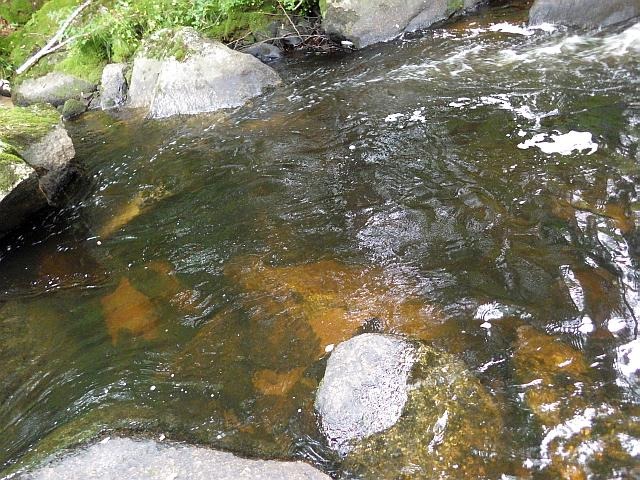 reportage pêche mouche france corrèze petite vézère