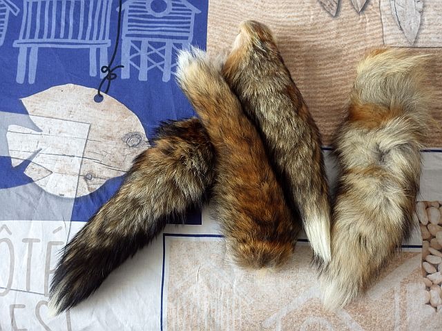 matériaux queue de renard par Avozetto Webzine Pêche Mouche