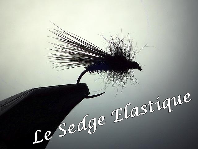 Montage sedge élastique