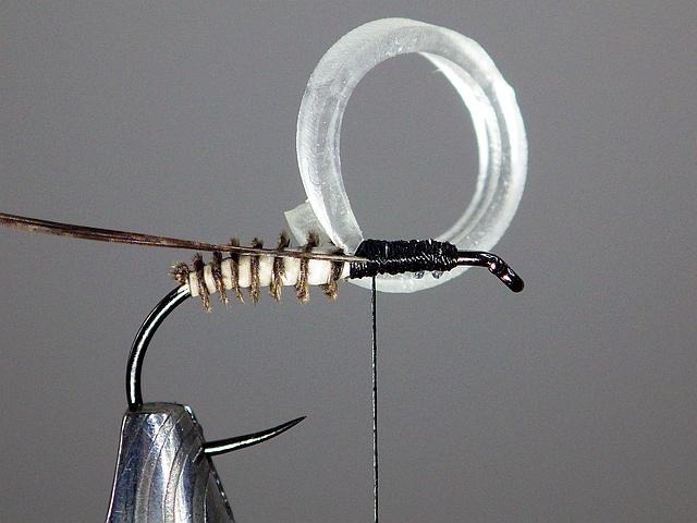Montage sedge élastique