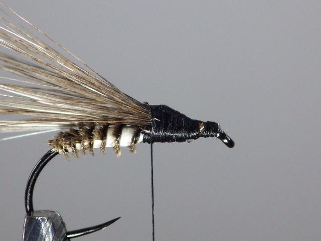 Montage sedge élastique