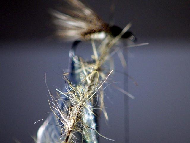Montage sedge élastique