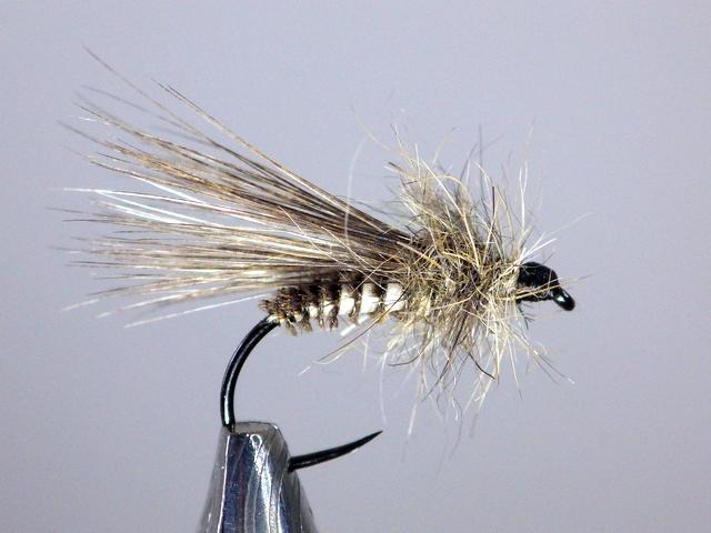 Montage sedge élastique