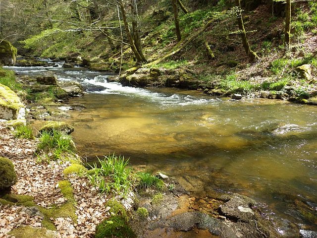 reportages aveyron Avozetto webzine pêche mouche