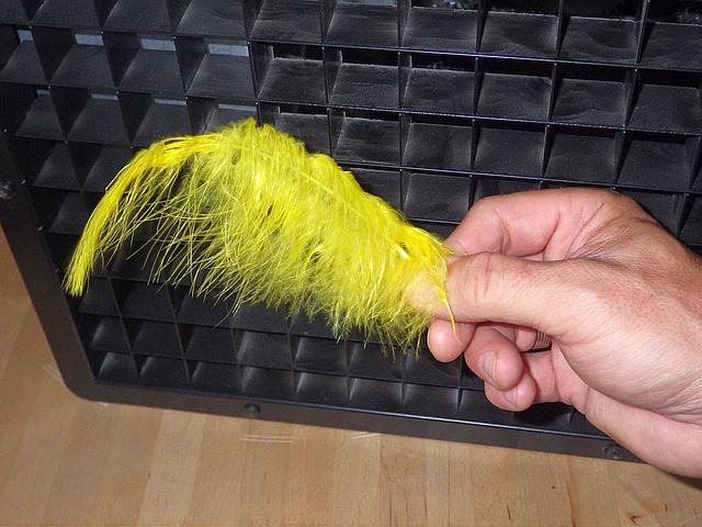 Technique de la teinture en poudre