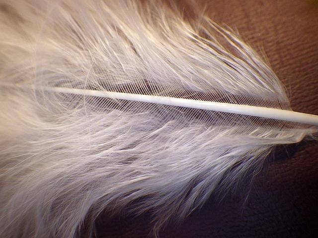 Technique de la teinture en poudre