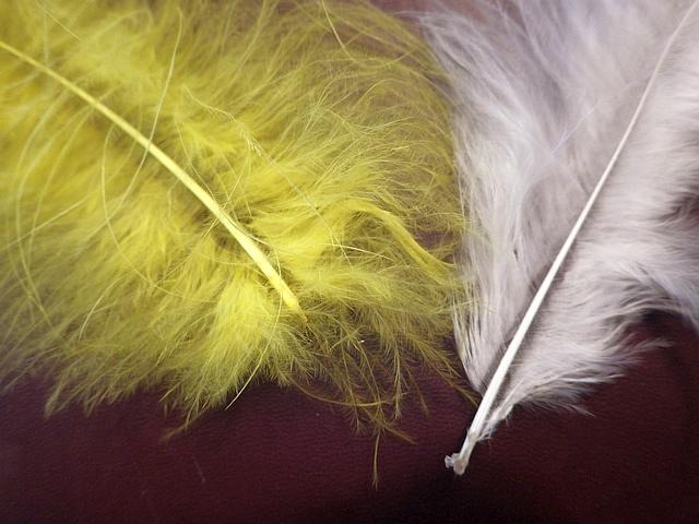 Technique de la teinture en poudre